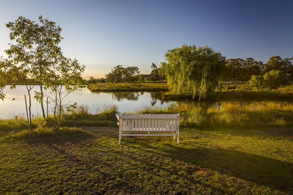 Tonic Hotel Lovedale Bagian luar foto