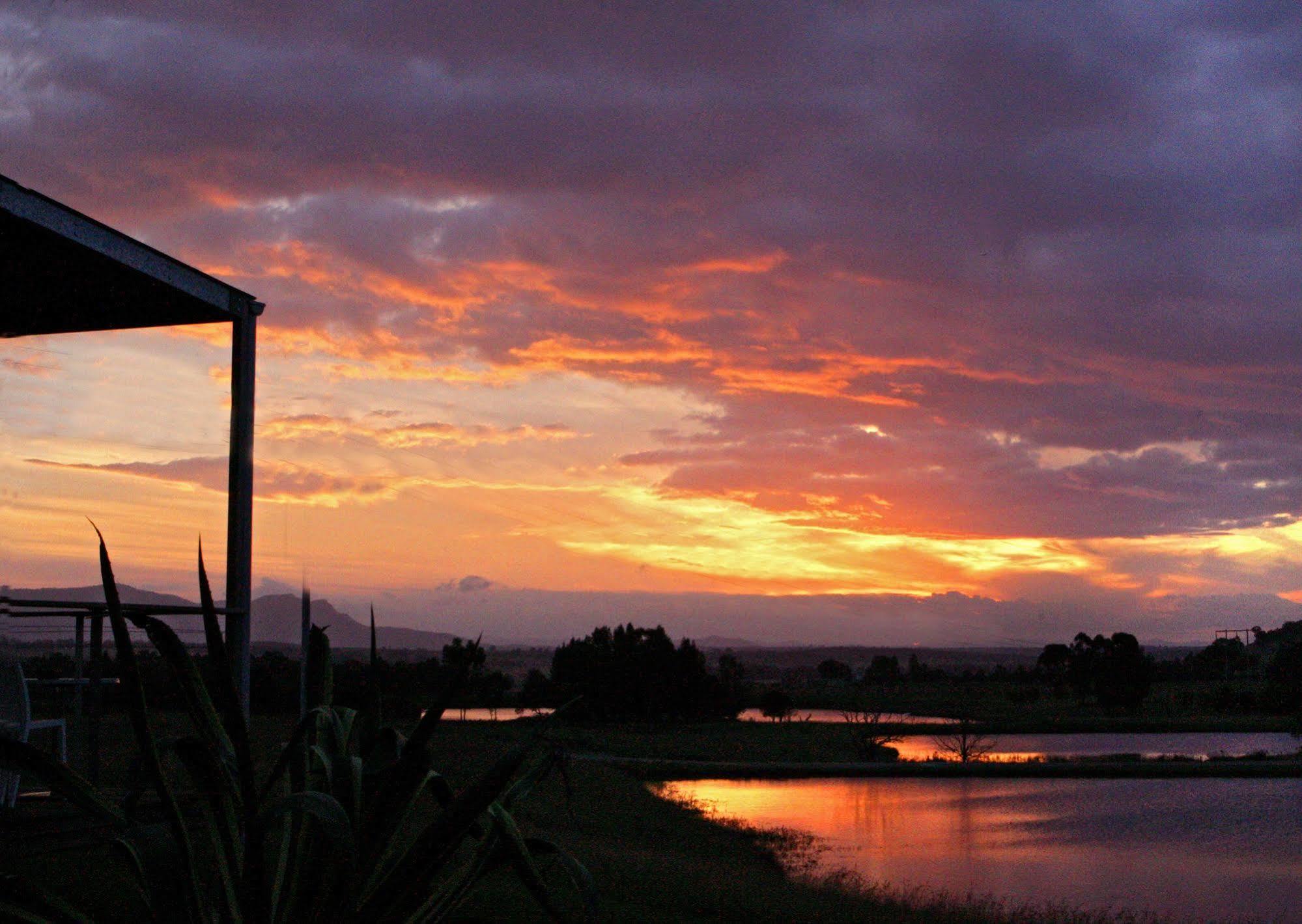 Tonic Hotel Lovedale Bagian luar foto
